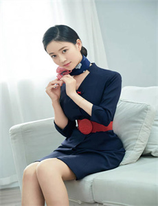 征服